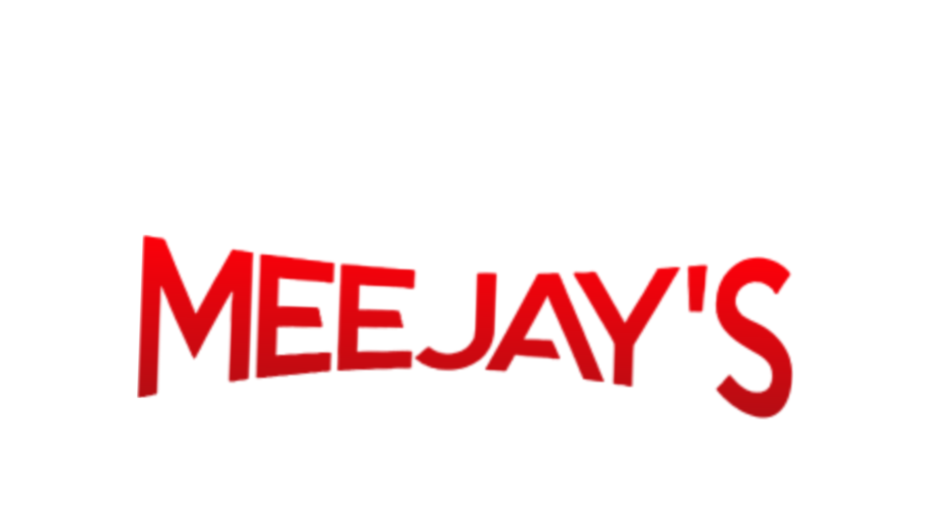 Partner Logo 1